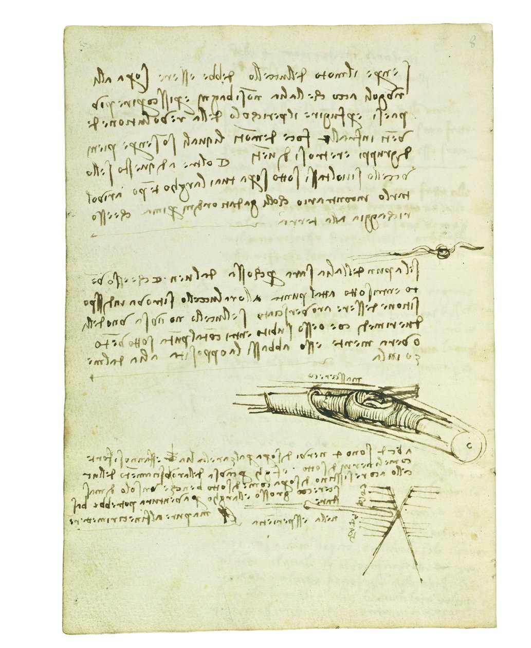 Codex om fåglarnas flygning, Folio 6 verso av Leonardo da Vinci