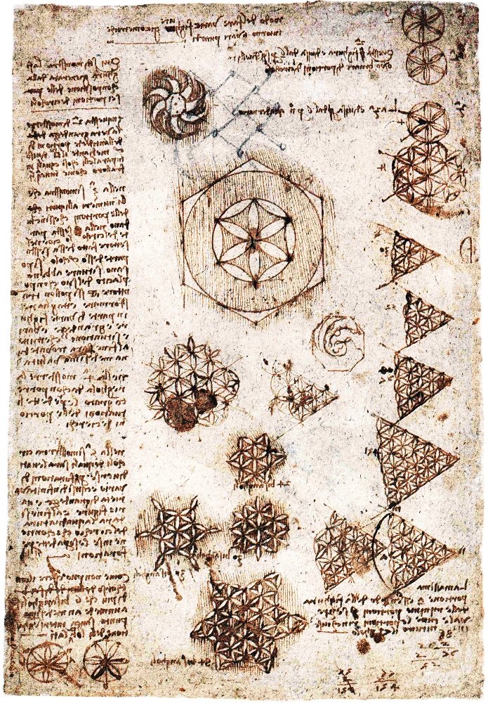Flower of Life av Leonardo da Vinci