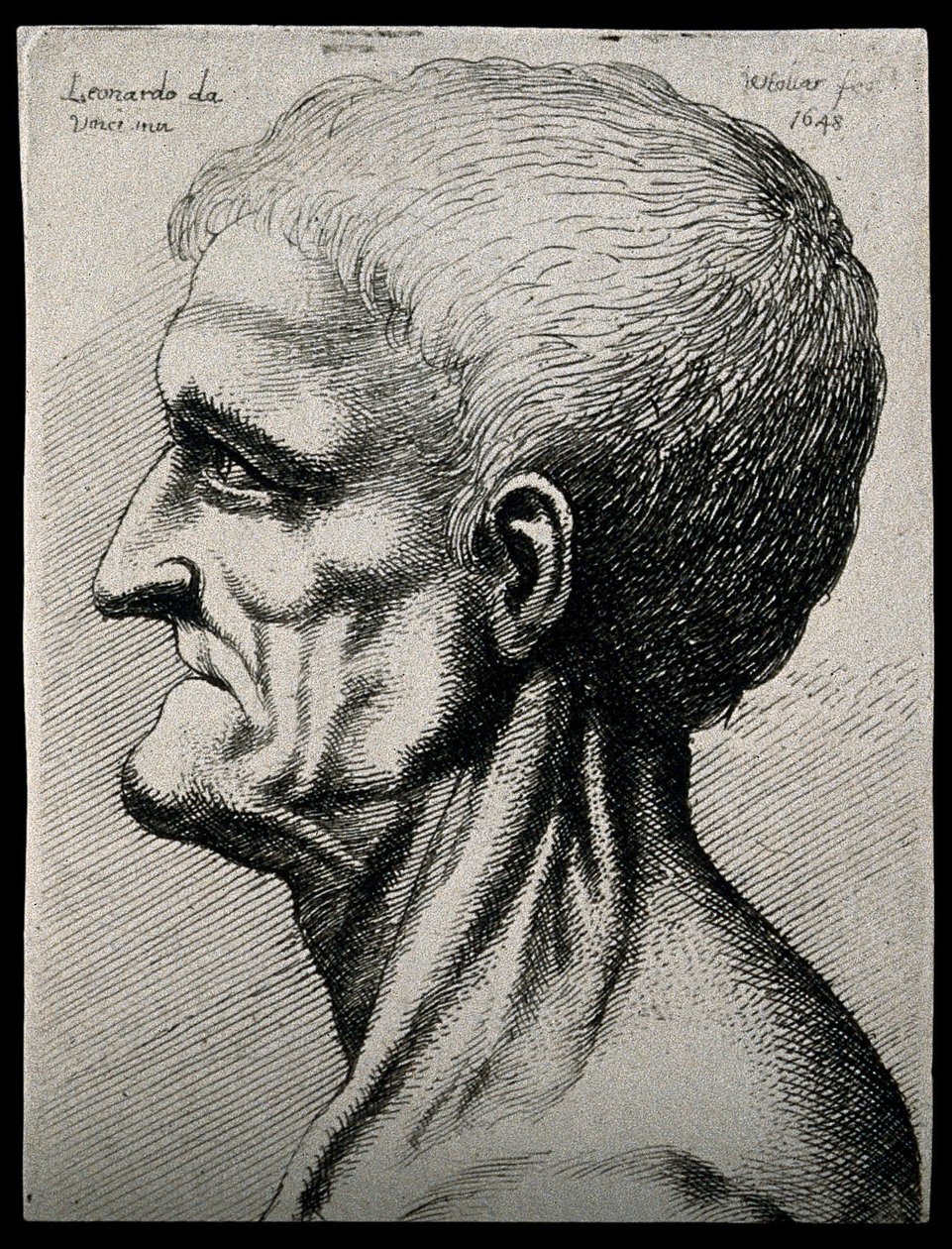 Head and neck of an elderly man, seen in left profile av Leonardo da Vinci