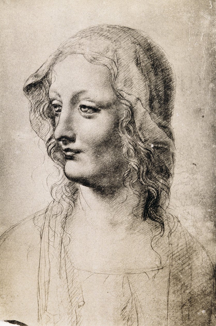 Chef för en ung kvinna (kol på papper) av Leonardo da Vinci