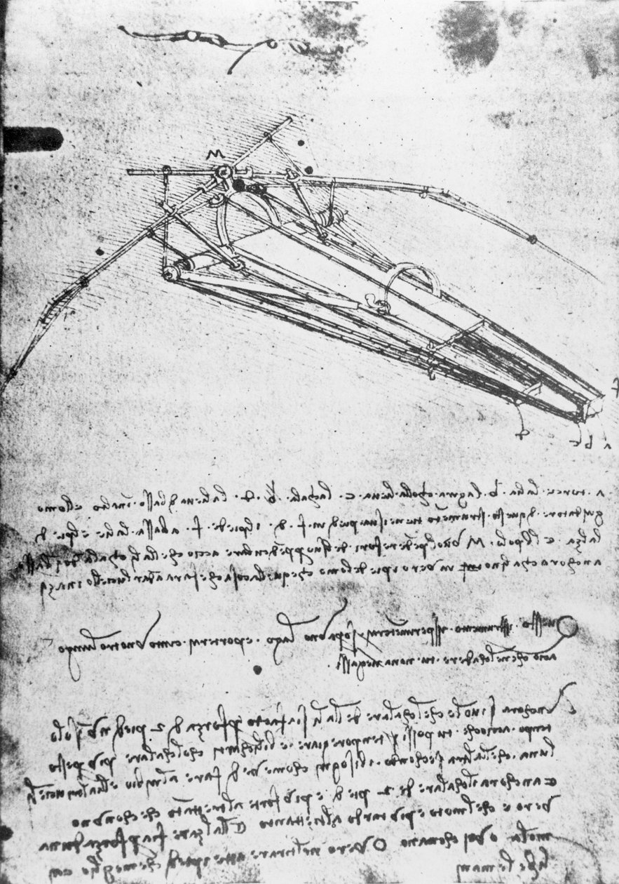 MS B 2173, folio 74v: Studie för en flygande maskin, 1487-1490 av Leonardo da Vinci