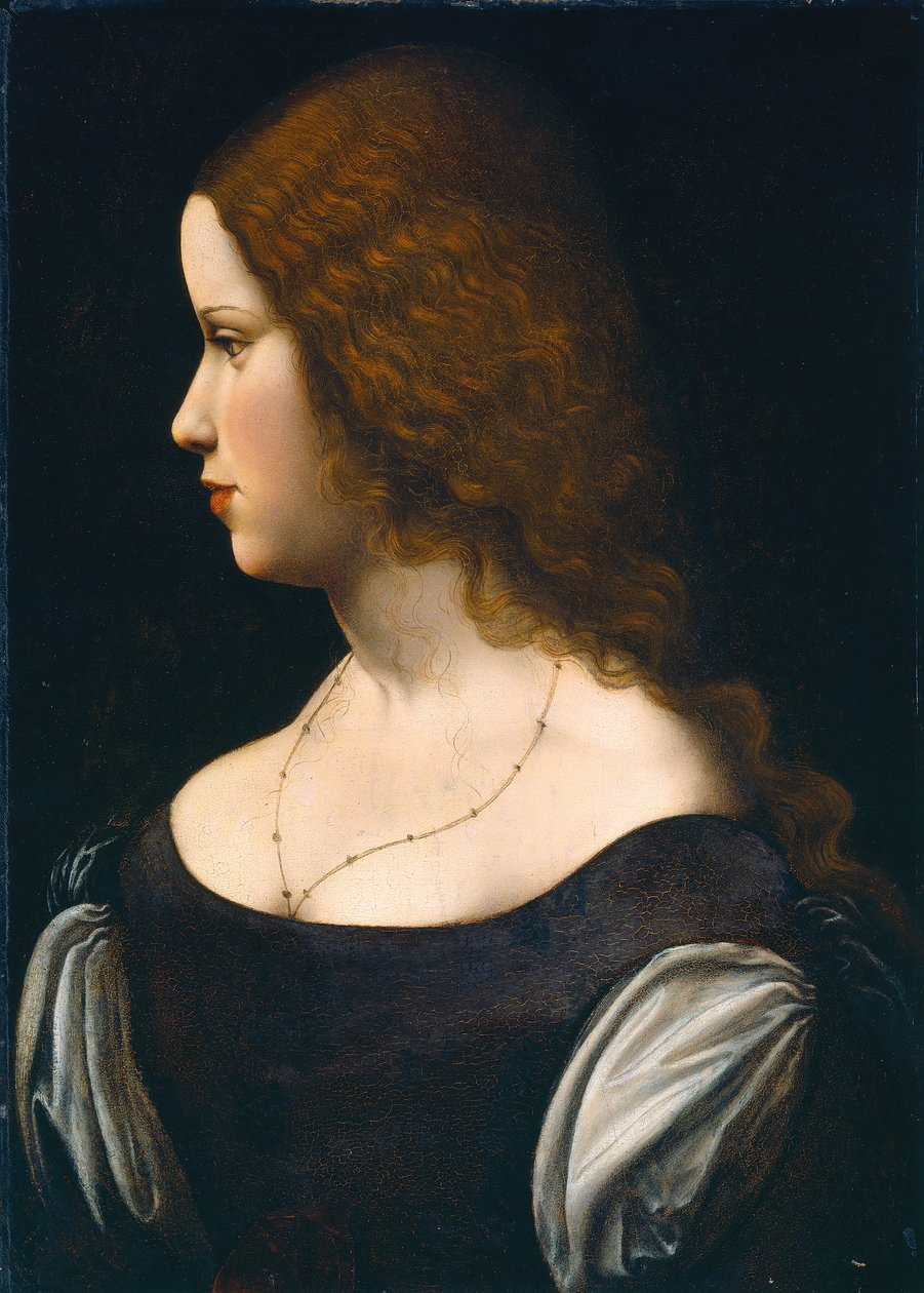 Porträtt av en ung dam av Leonardo da Vinci