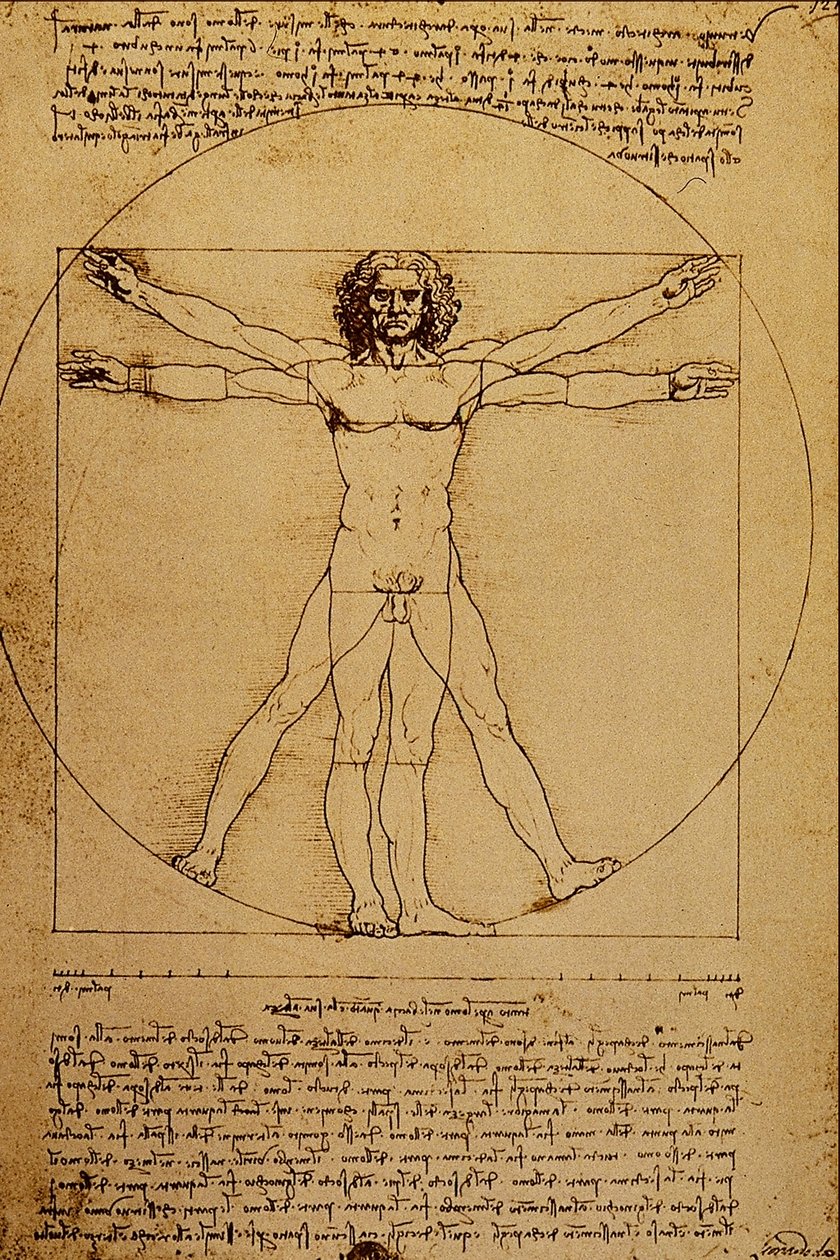 Studio del Corpo Umano av Leonardo da Vinci