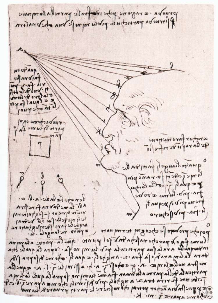 Study of the effect of light on a profile head av Leonardo da Vinci