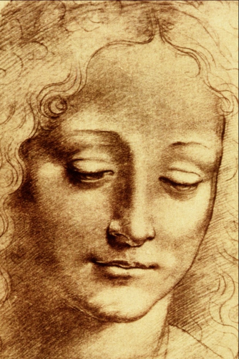 Teste di Giovinetta av Leonardo da Vinci