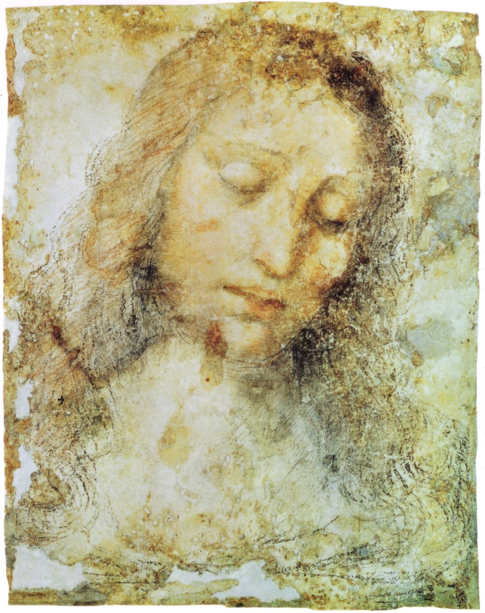 pinacoteca di brera av Leonardo da Vinci