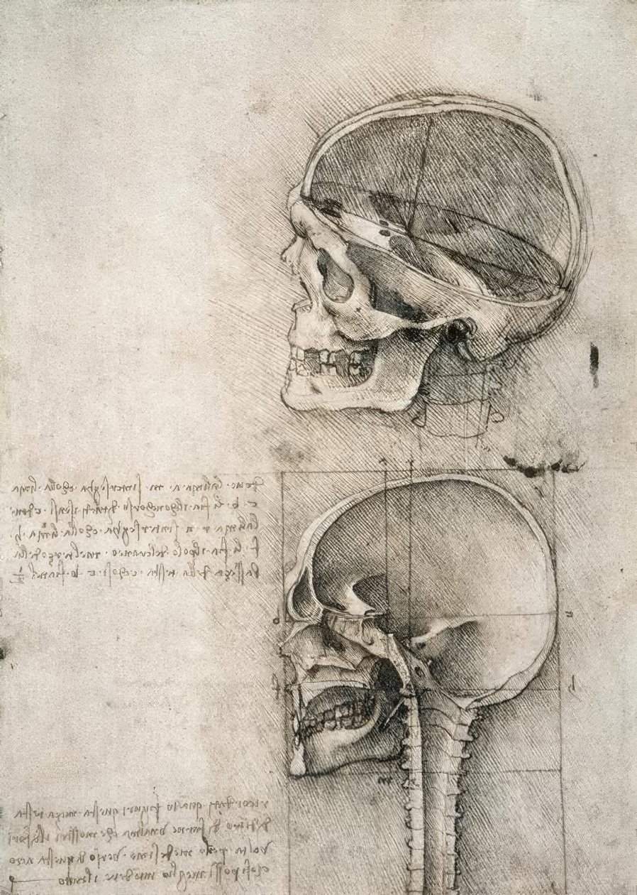 senso commune av Leonardo da Vinci