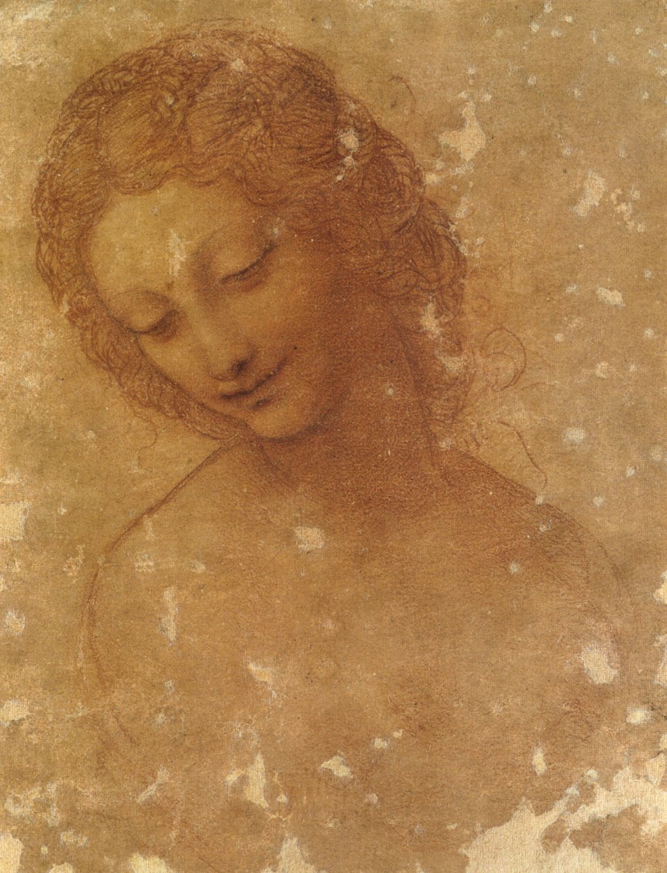testa di leda, castello sforzesco av Leonardo da Vinci