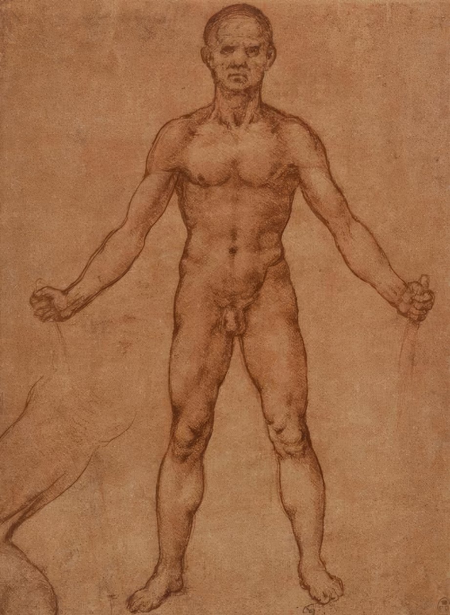 Nakenstudie av en stående man, frontal av Leonardo da Vinci