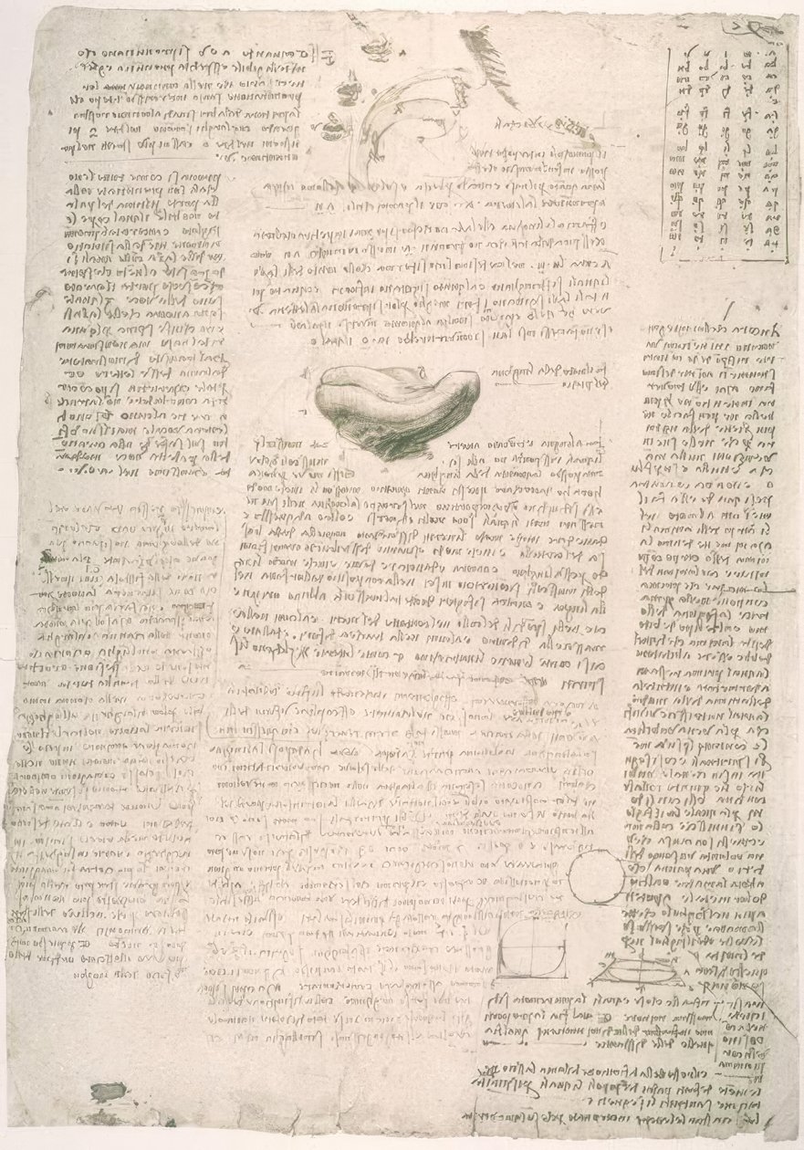Anatomiestudien av Leonardo da Vinci