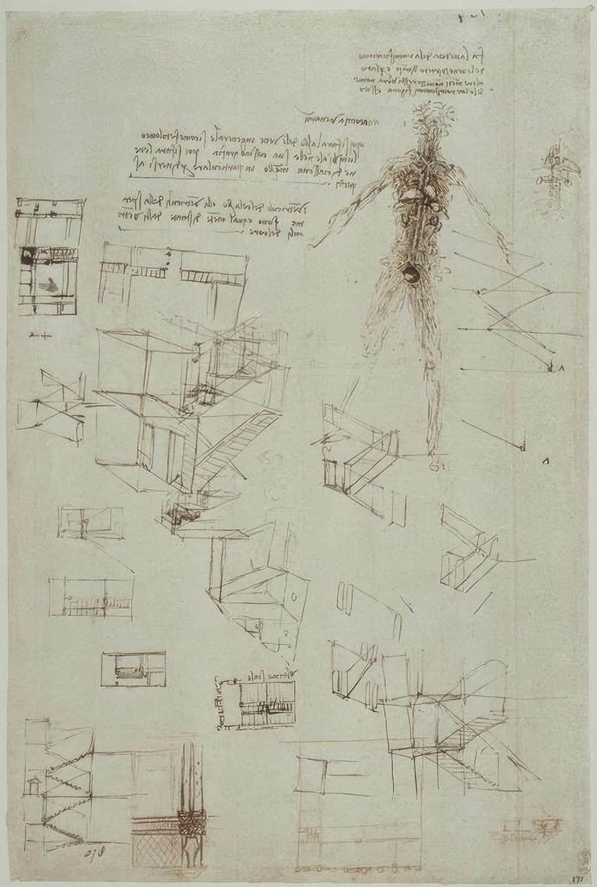 Anatomiestudien av Leonardo da Vinci