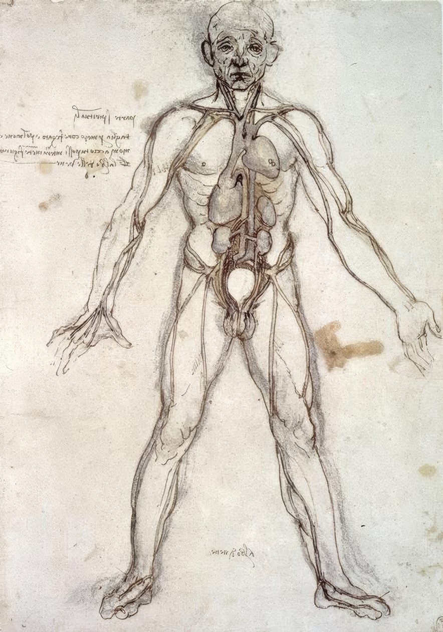 Träd av fartyg av Leonardo da Vinci