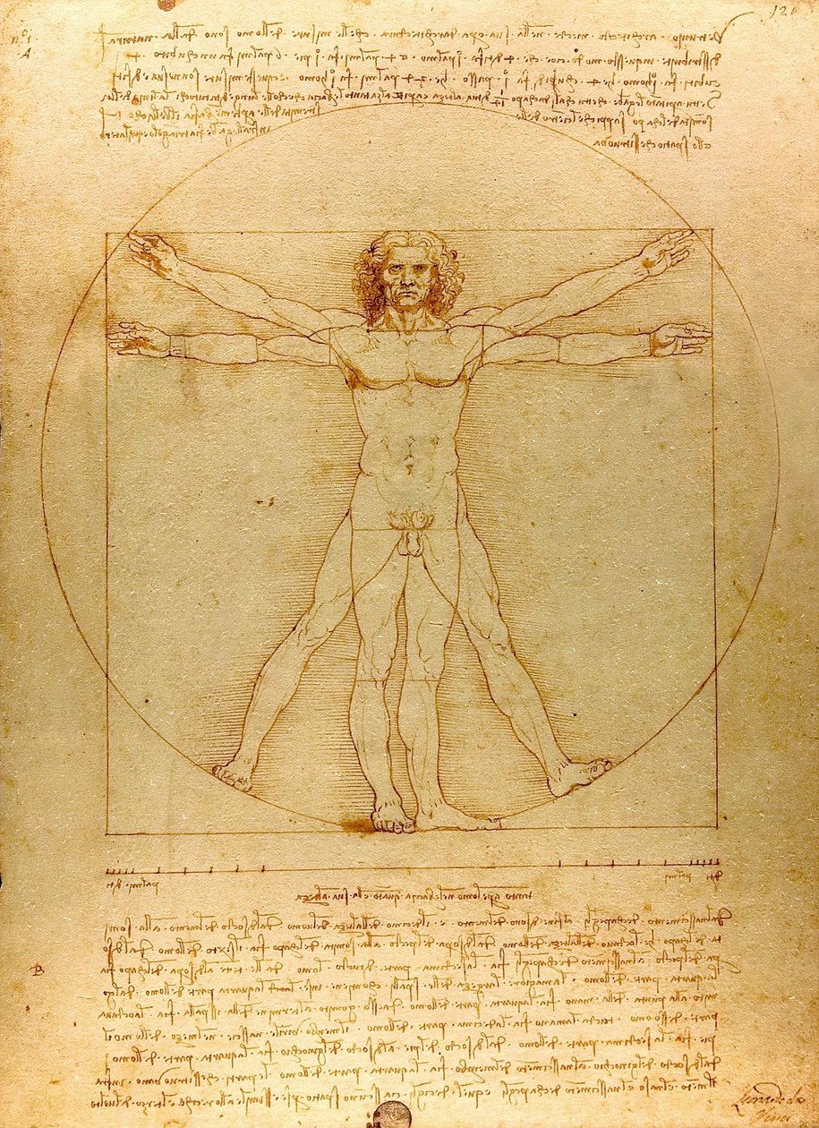 Da Vinci Vitruve Luc Viatour (beskuren) av Leonardo da Vinci