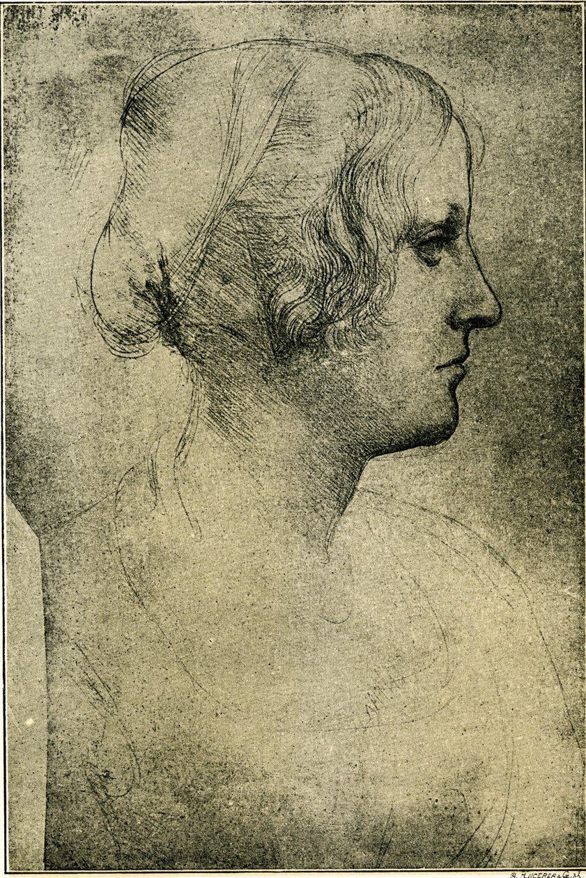 Kvinnlig profilhuvud av Leonardo da Vinci