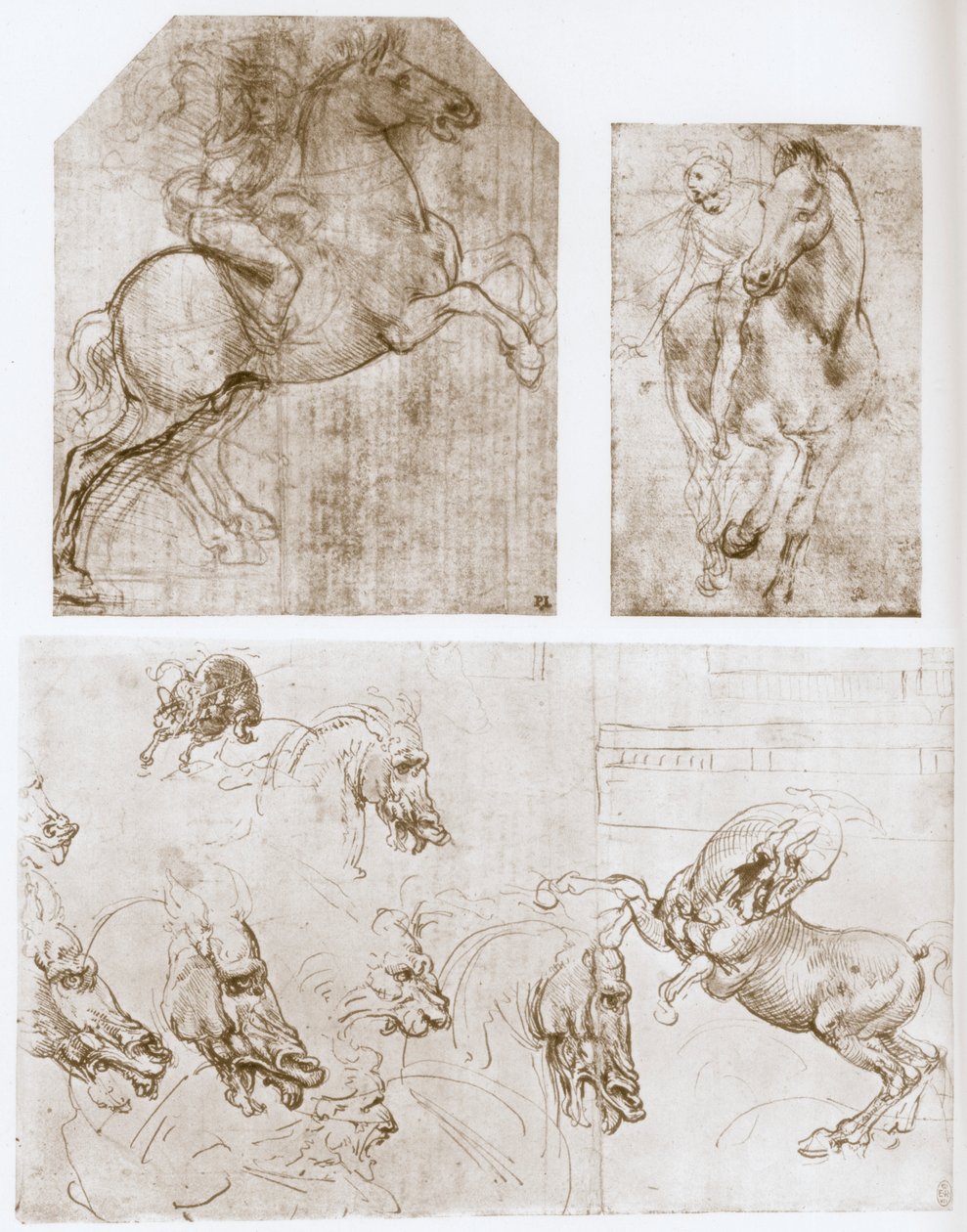 Ryttare, 1480-1481. av Leonardo da Vinci