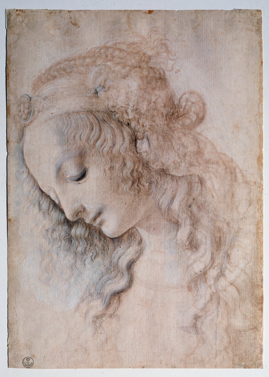 Porträtt av flicka - teckning av Leonardo da Vinci