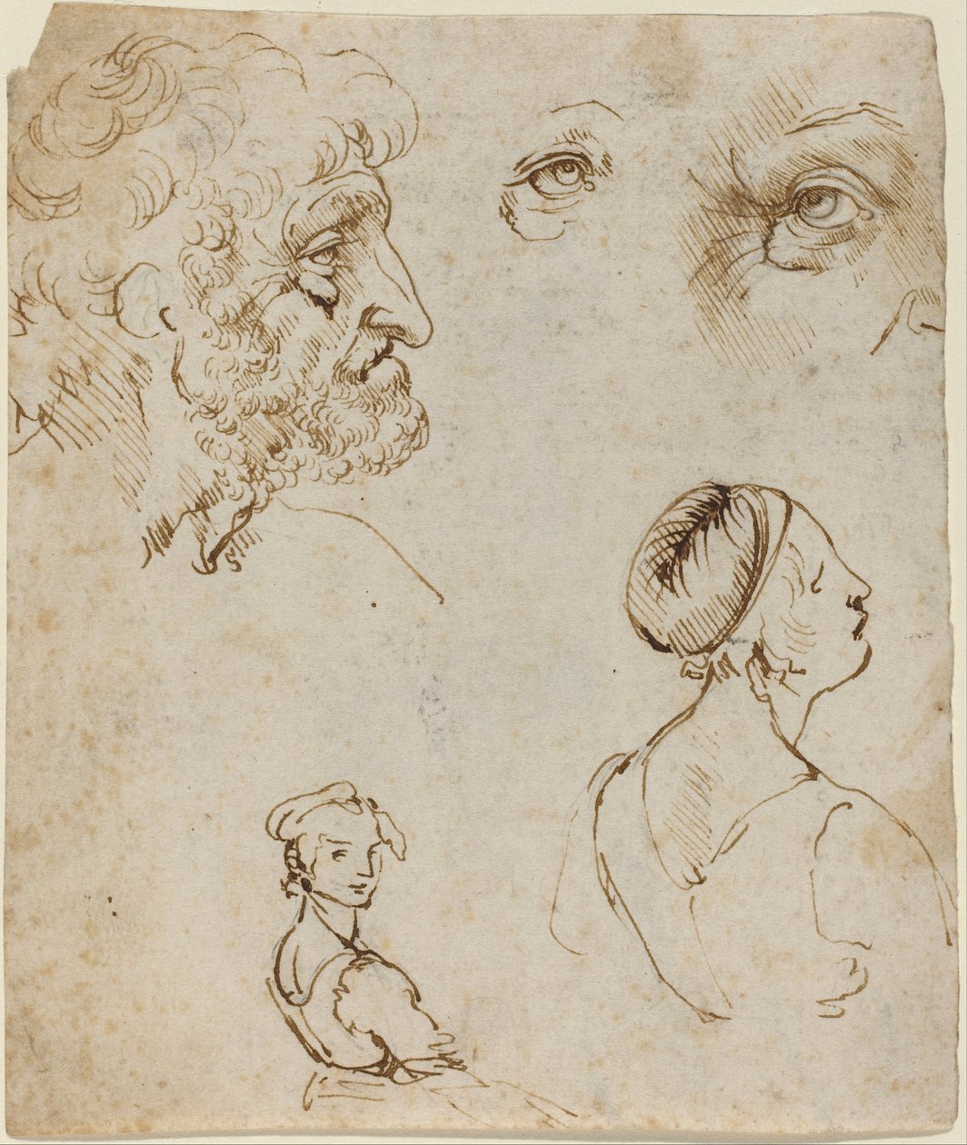 Blad med studier [recto] av Leonardo da Vinci