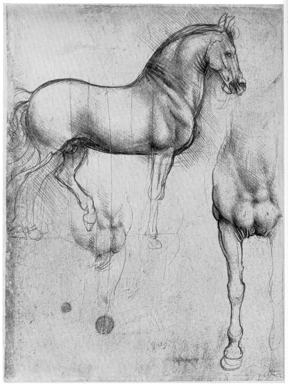 Studies of Horses, c1490 1954 av Leonardo da Vinci