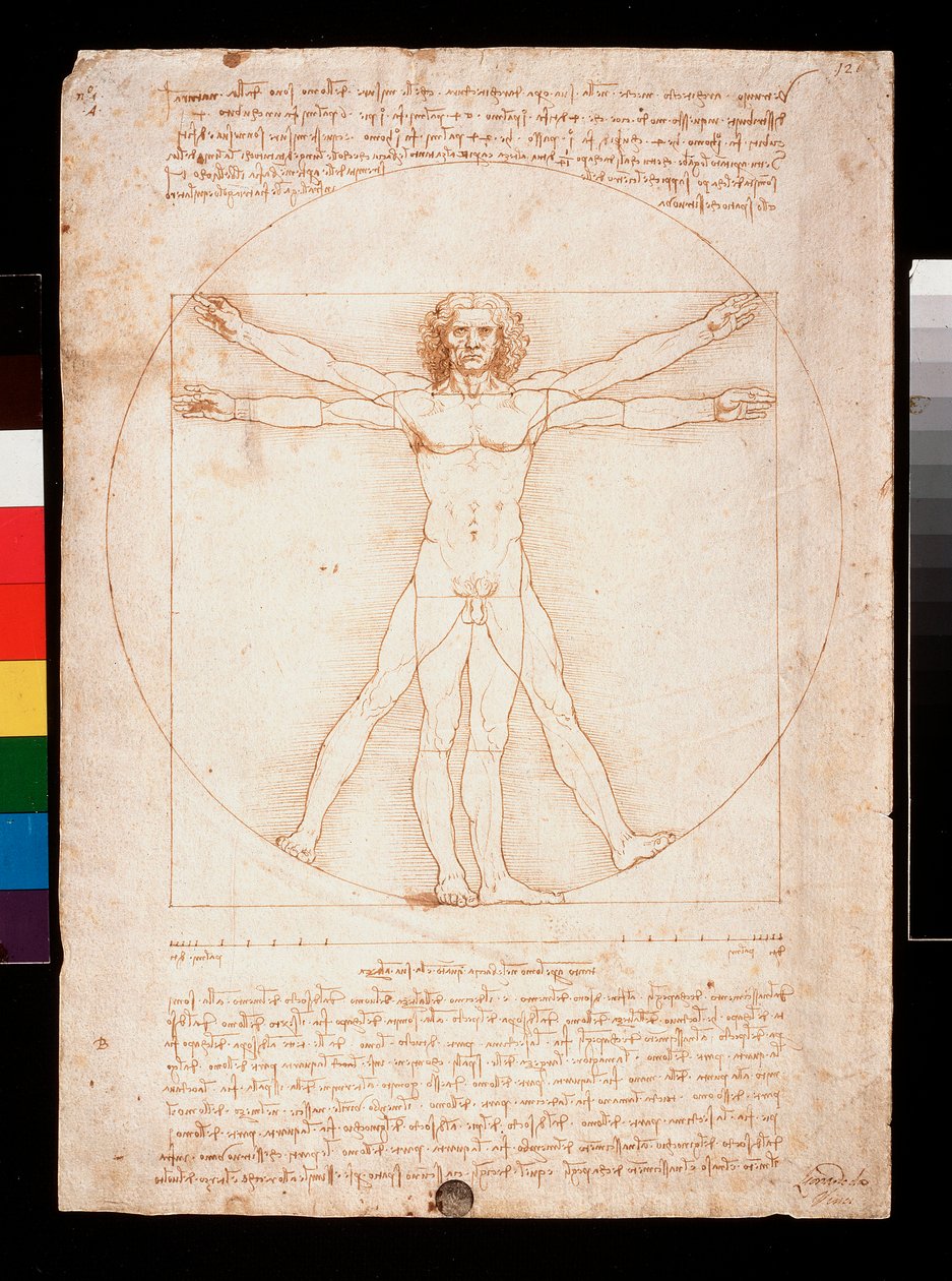 Vitruviansk man av Leonardo da Vinci