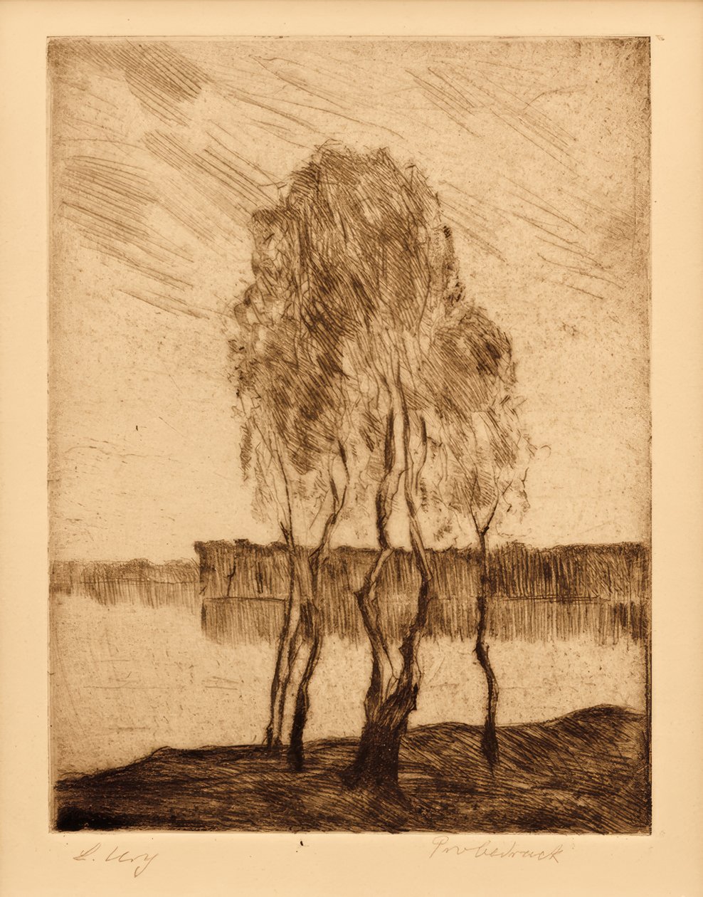 Tre björkar på sjön i regionen Brandenburg av Lesser Ury