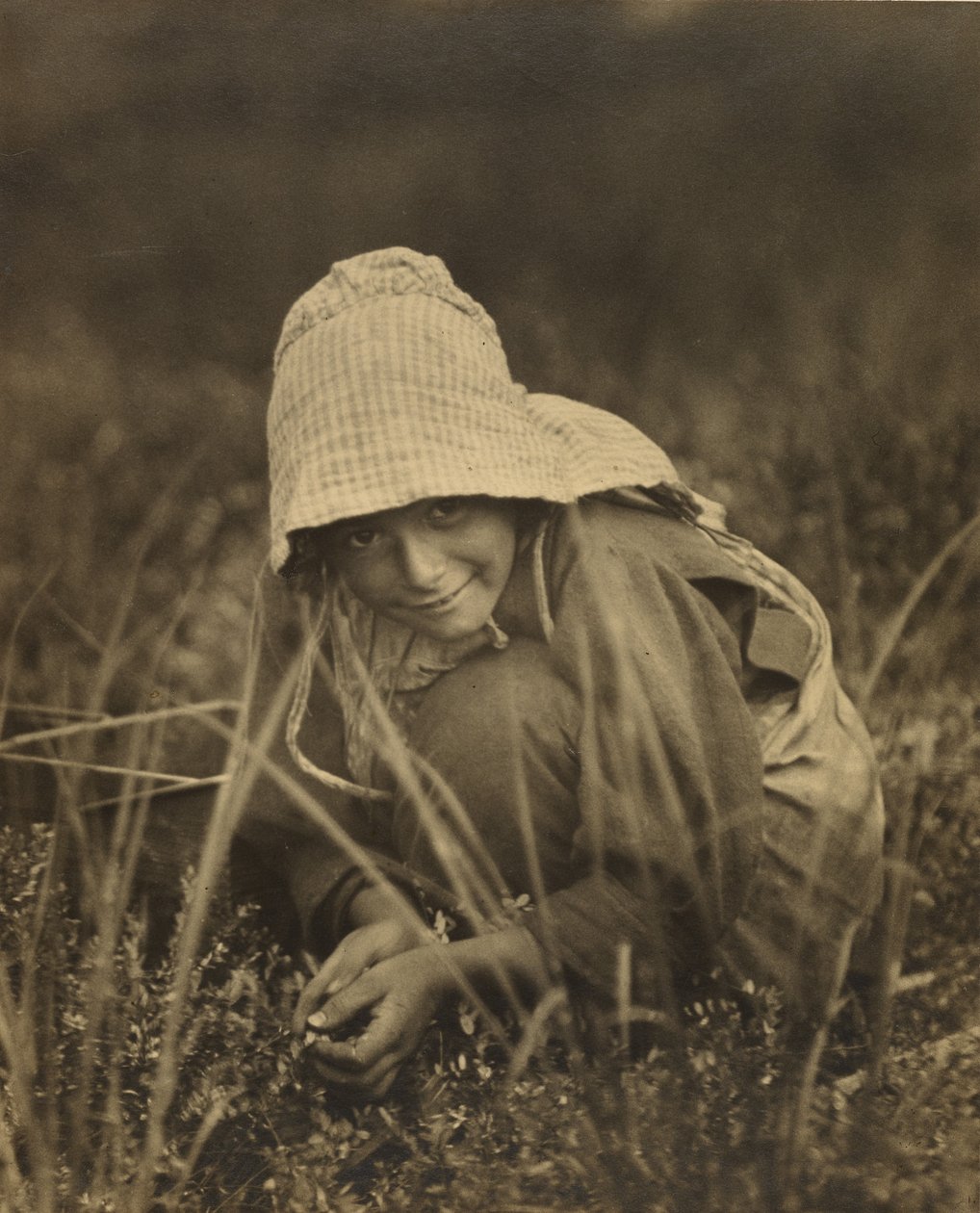Tranbärsplockare, New Jersey av Lewis W. Hine