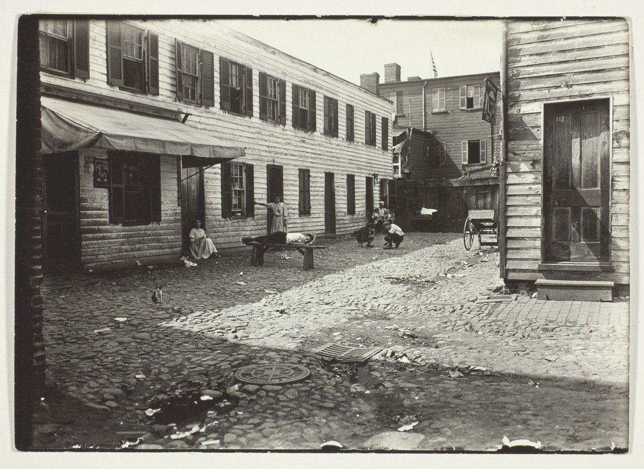 Negro Alley Housing Whites, Washington, D.C. av Lewis Wickes Hine