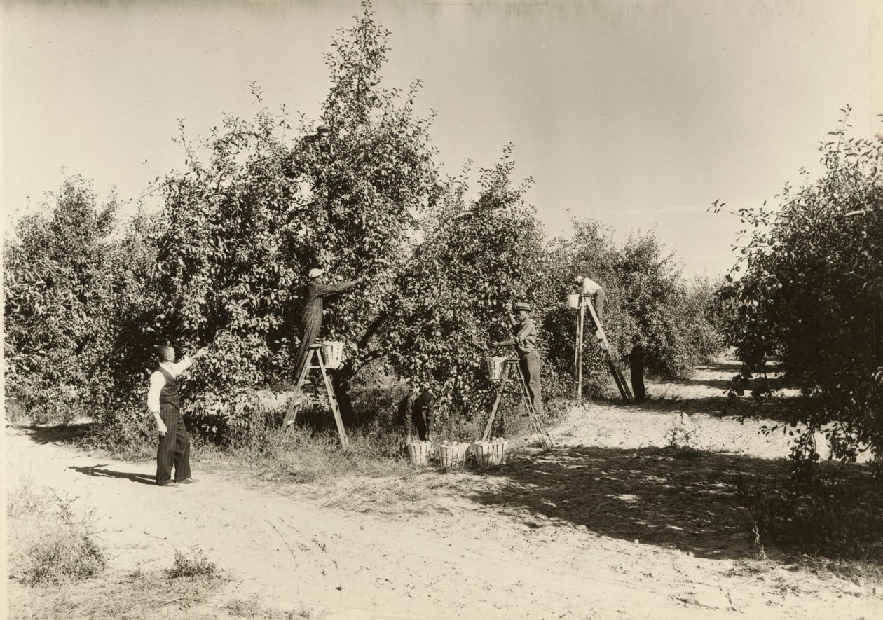 Utan titel, ca. 1935. av Lewis Wickes Hine