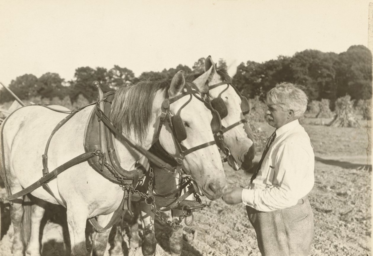 Utan titel, ca. 1935. av Lewis Wickes Hine
