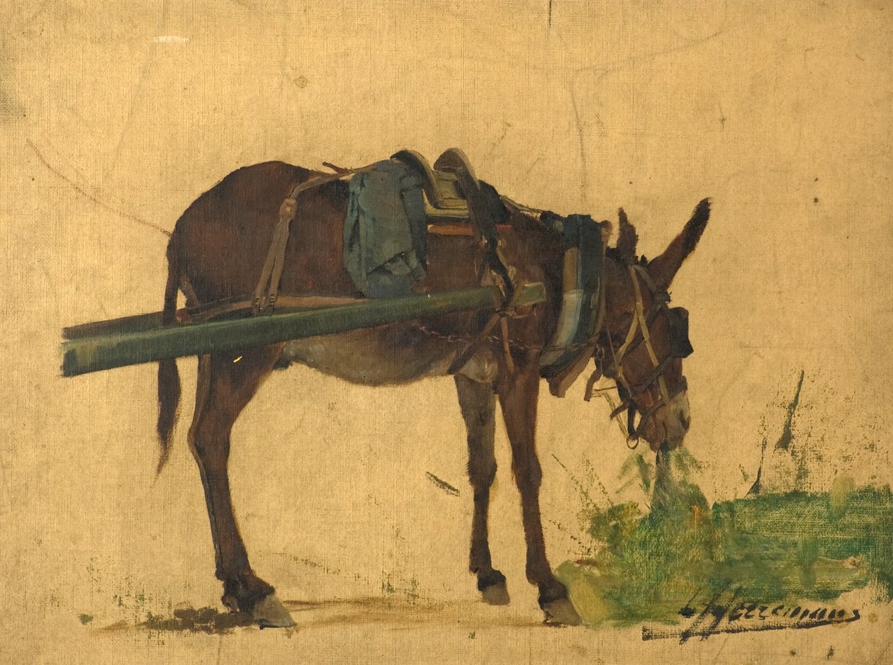Studie av en mula (olja på duk) av Lievan Herremans