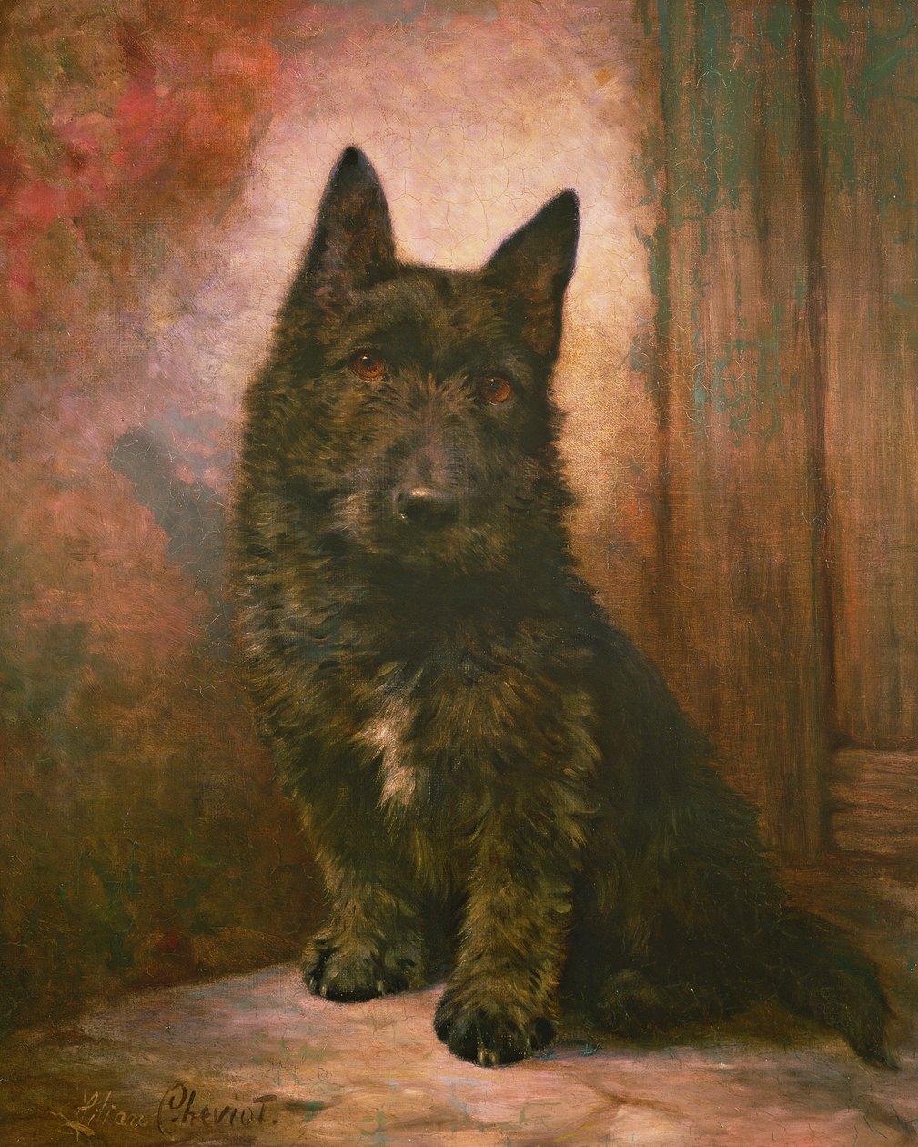 Scottie valp av Lilian Cheviot