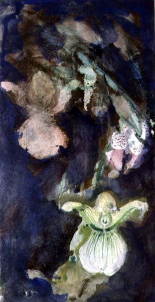 Tofflor orkidéer av Lily Blatherwick