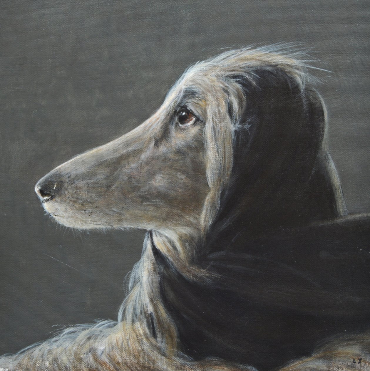 Afghan at Speed, Grey av Lincoln Seligman