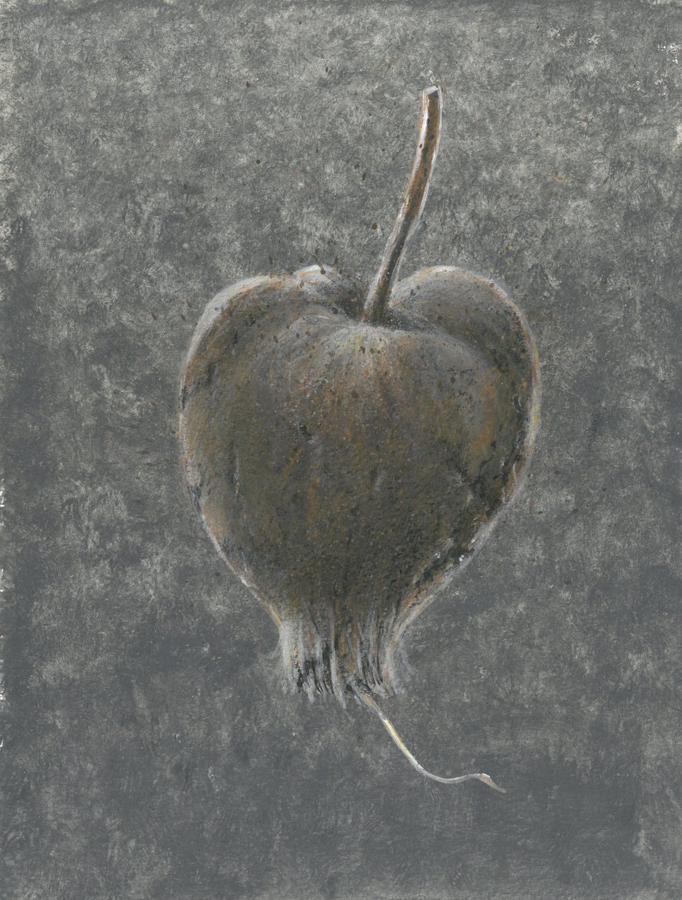 Barringtonia Acutangula (akryl på papper) av Lincoln Seligman