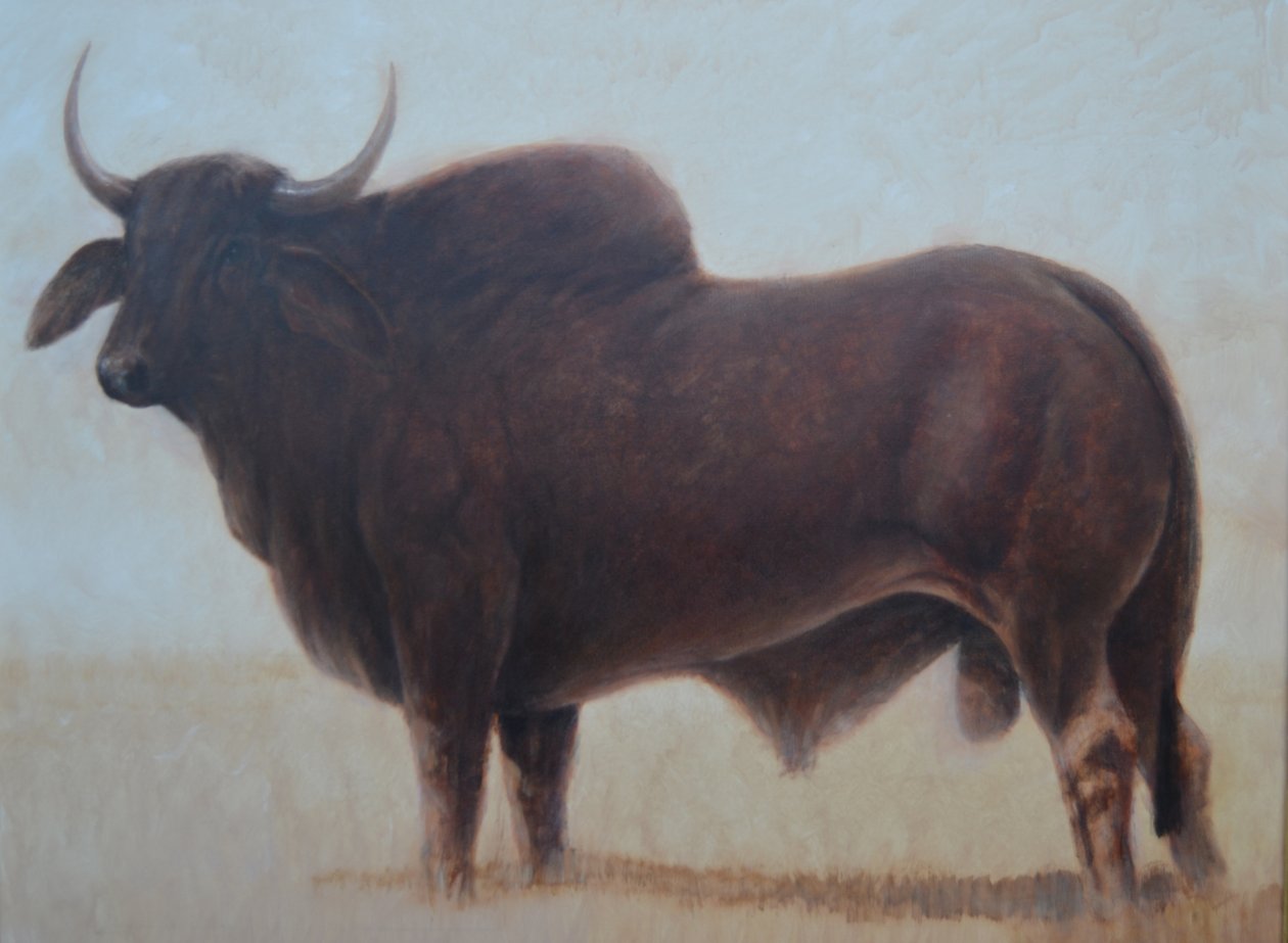 Brahmin Bull av Lincoln Seligman