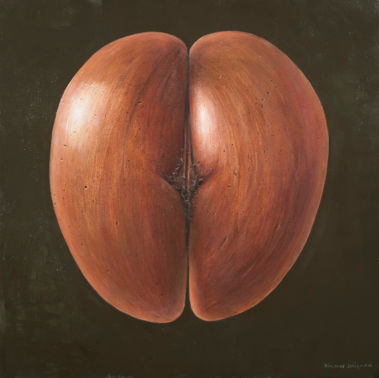 Coco de Mer, Maldiverna, 2012 (akryl på duk) av Lincoln Seligman