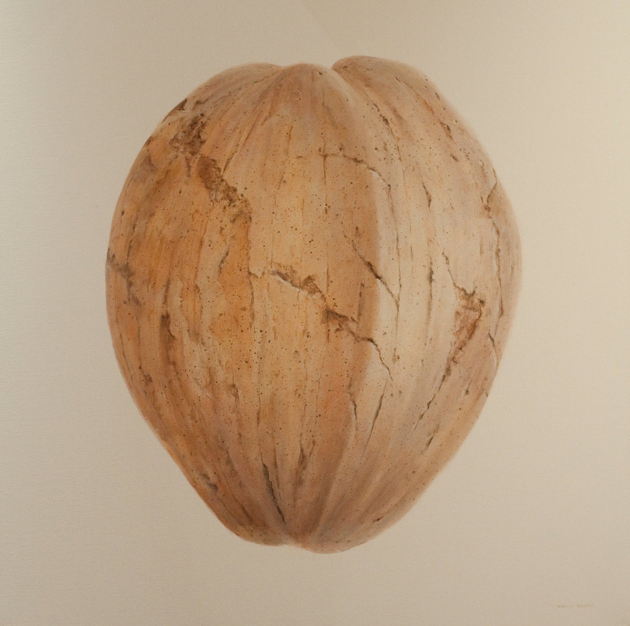 Coconut, Sri Lanka, 2010 (akryl på duk) av Lincoln Seligman