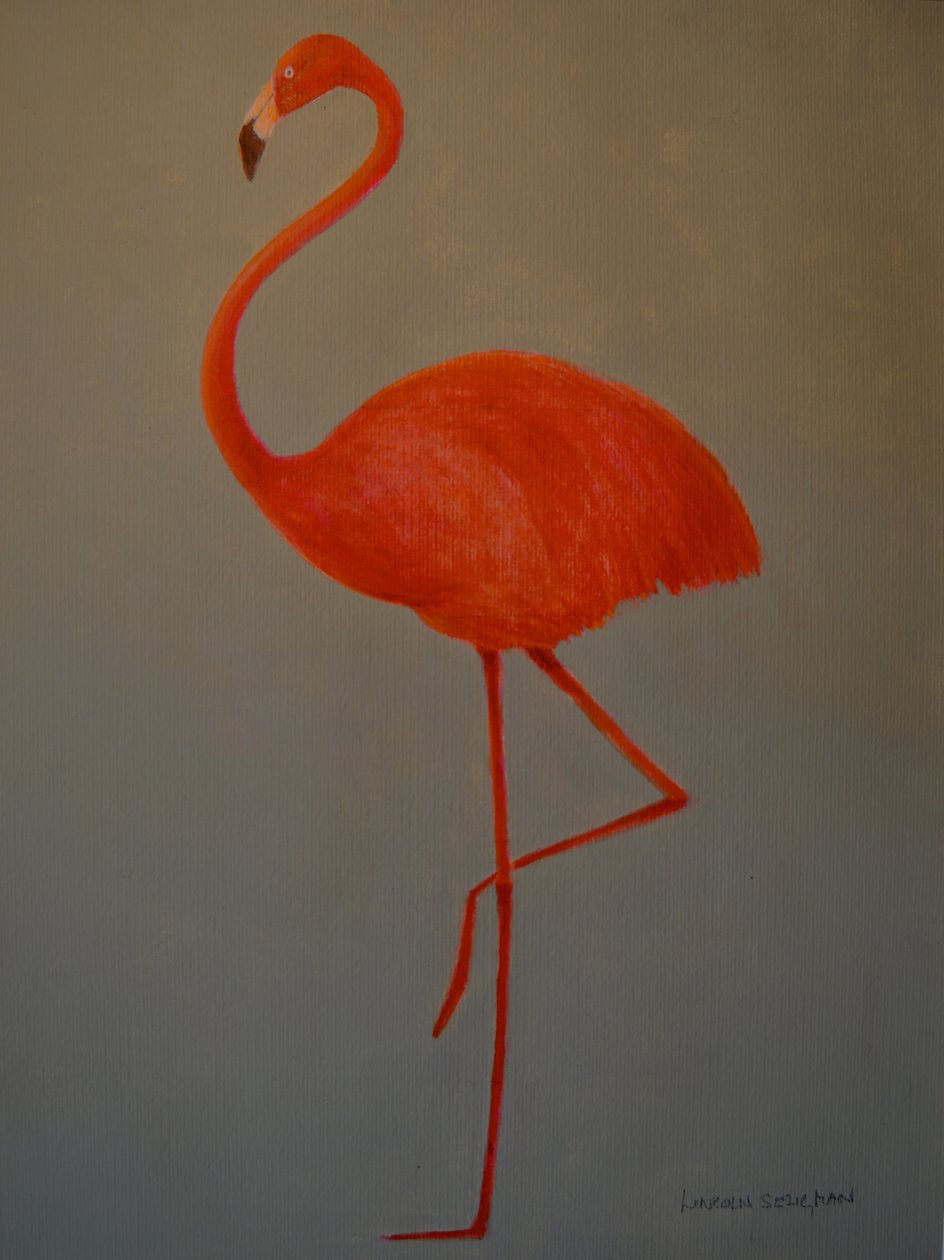 Flamingo av Lincoln Seligman