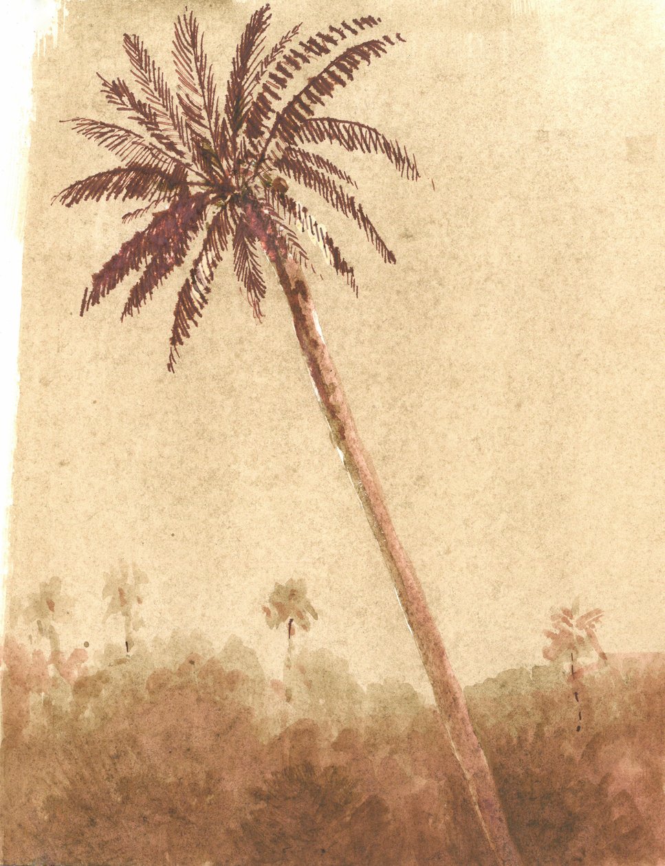 Palmträd, 2015 av Lincoln Seligman