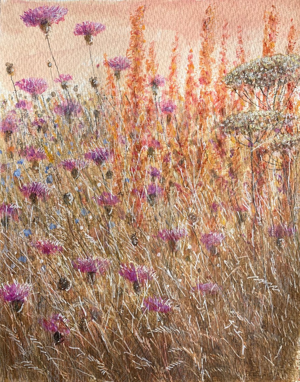 Scabious & Docks av Lincoln Seligman