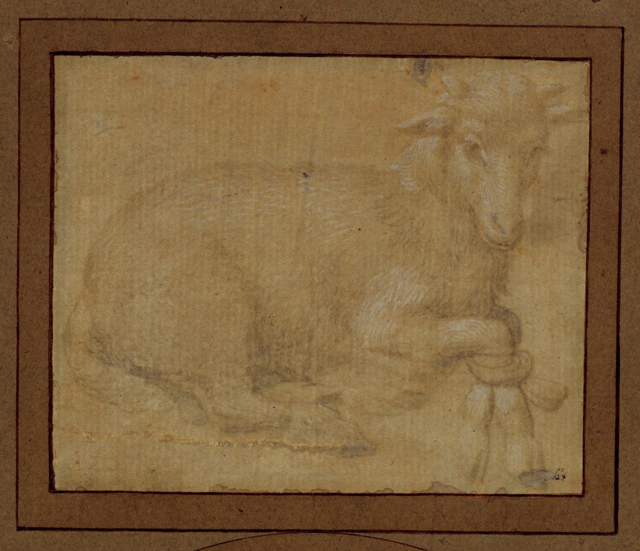 Studie av ett lamm ... av Lorenzo di Credi