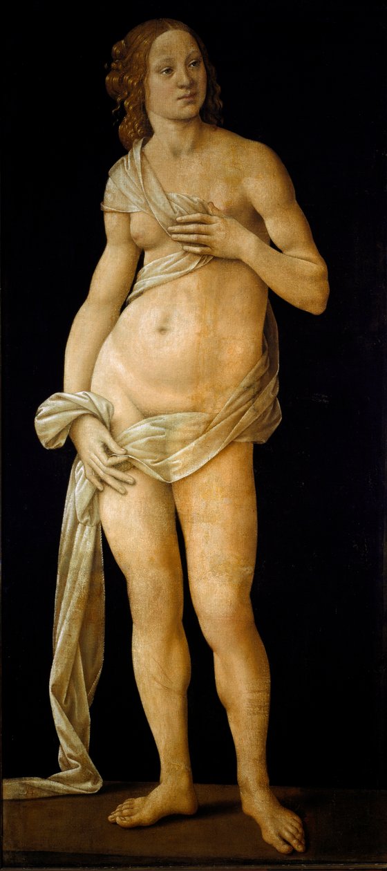 Venus (tempera på trä, ca 1490) av Lorenzo di Credi