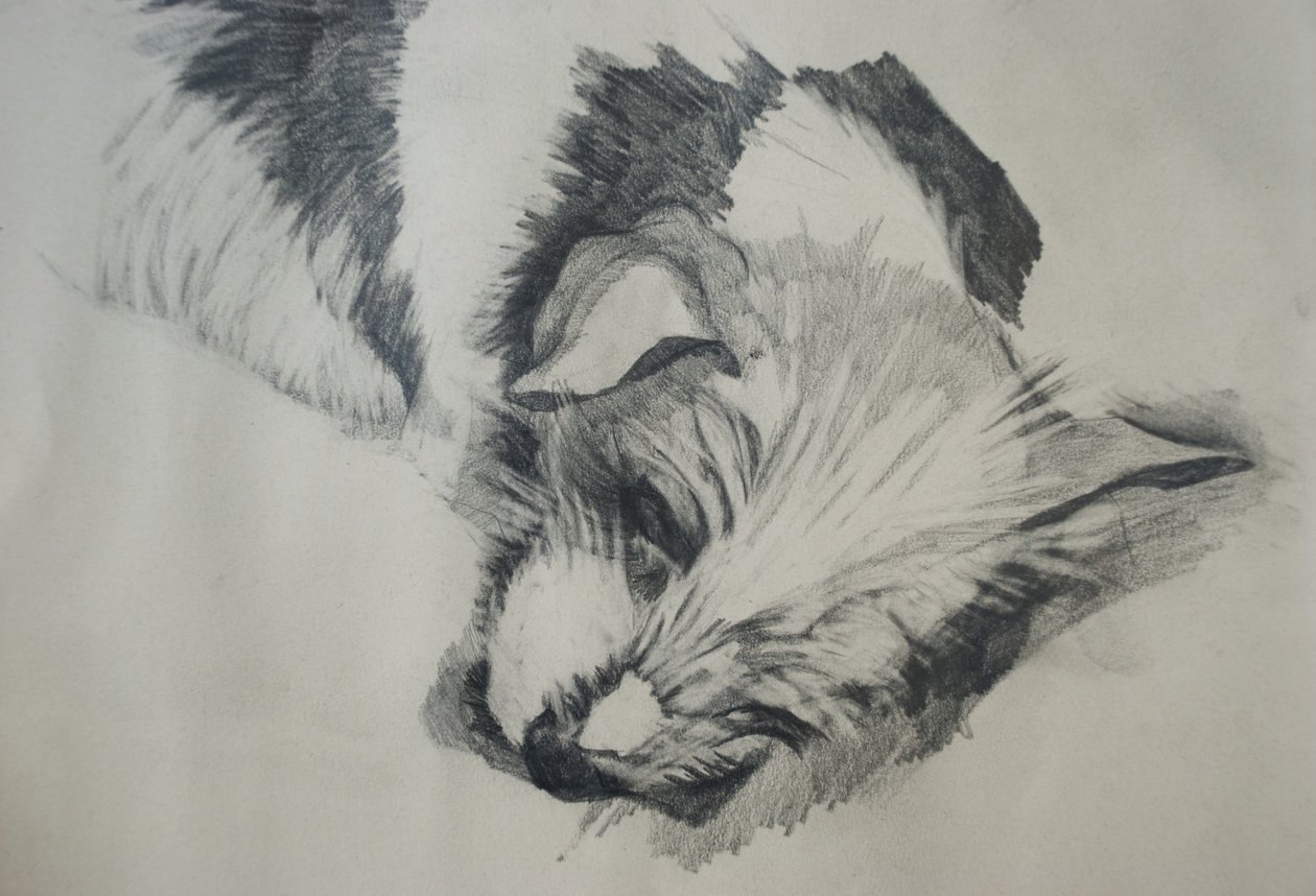 Jack Russel, 2015, av Lou Gibbs
