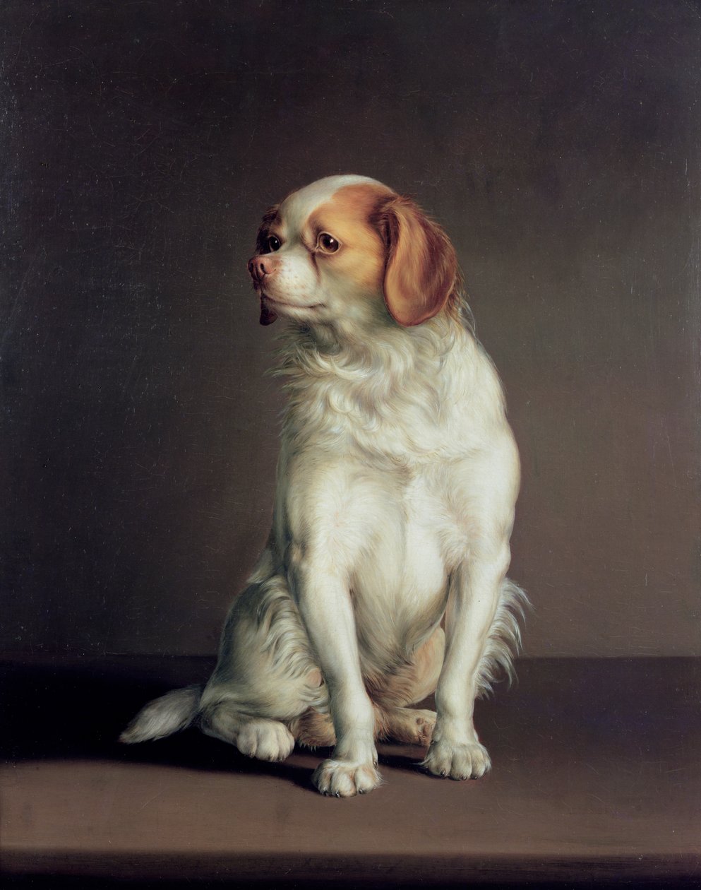 Porträtt av en King Charles Spaniel av Louis Leopold Boilly