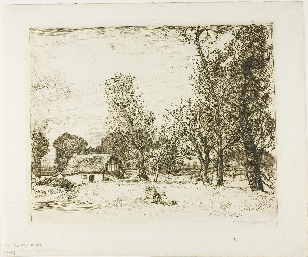 Pollard Poplars av Louis Auguste Lepère