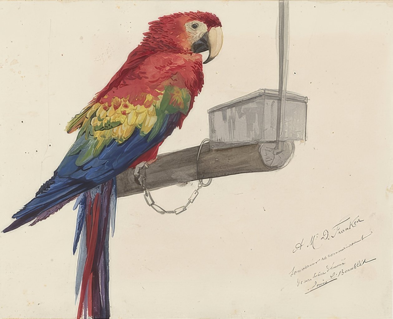 Papegoja. 1879 av Louis Charles Bombled