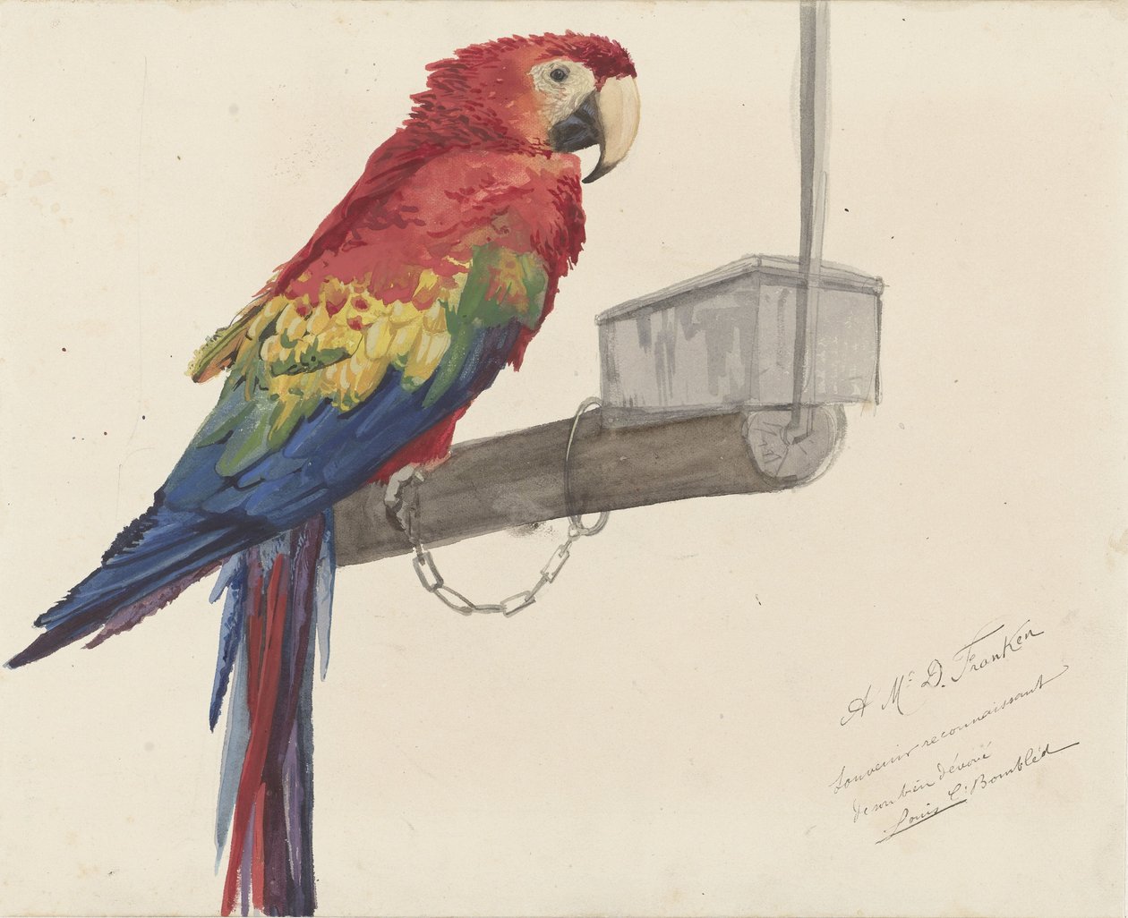 Papegoja av Louis Charles Bombled