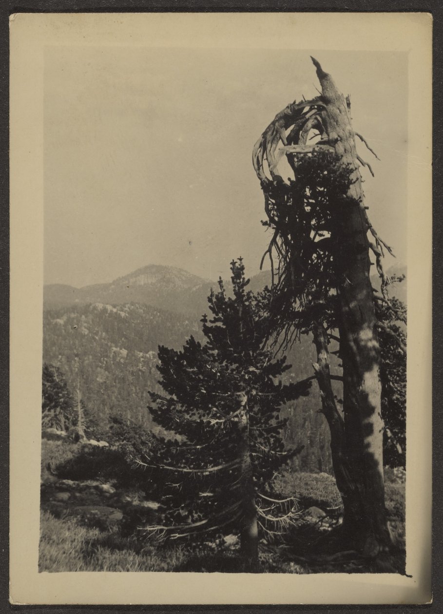 [Abe Lincoln Peak] av Louis Fleckenstein