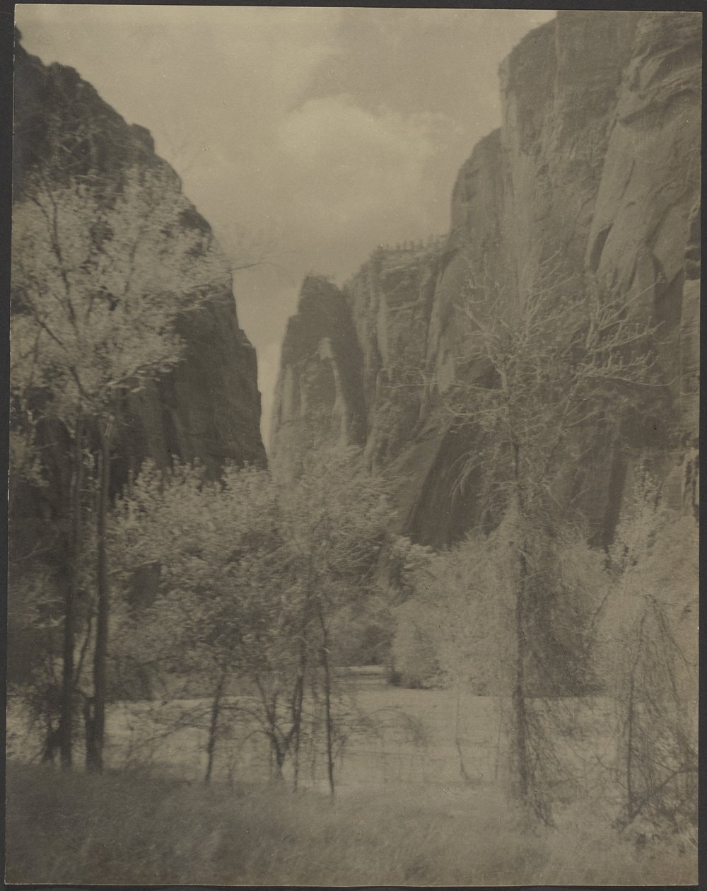 [Canyon Landscape] av Louis Fleckenstein