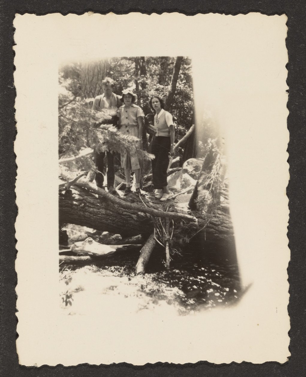 [Figurer i skogen] av Louis Fleckenstein