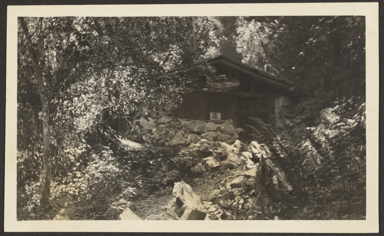 [Forest Lodge] av Louis Fleckenstein